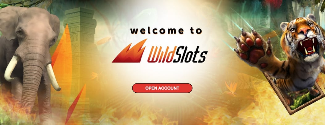 Wild Slots online casino review