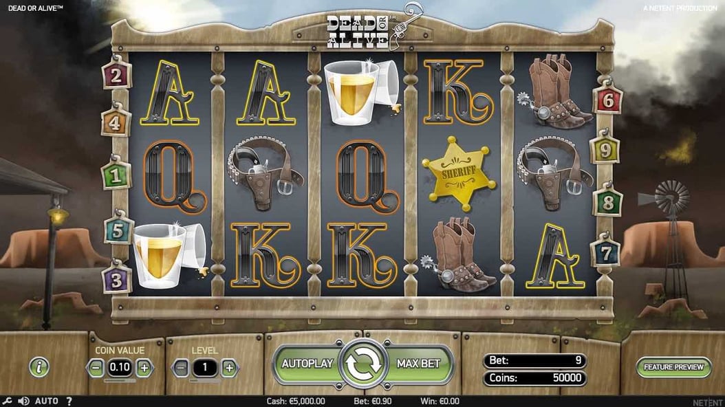 Dead or alive Game screen