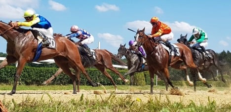 Preakness Stakes image