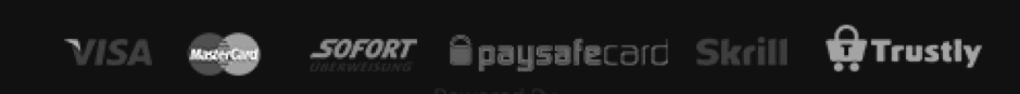 Payment methods at Dealers Casino