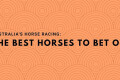 The-best-horses-to-bet-on