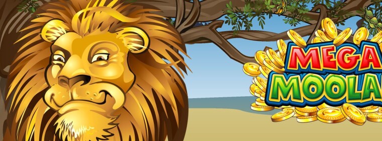 Mega Moolah Banner