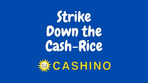 Cashino casino
